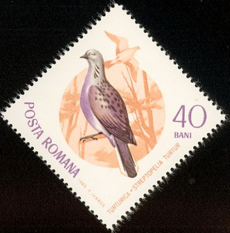 http://pernatidruzi.org.ua/pictures3/horlzvmark/13.jpg